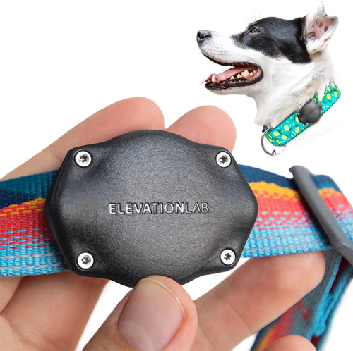 Tagvault pet the most secure - pet,